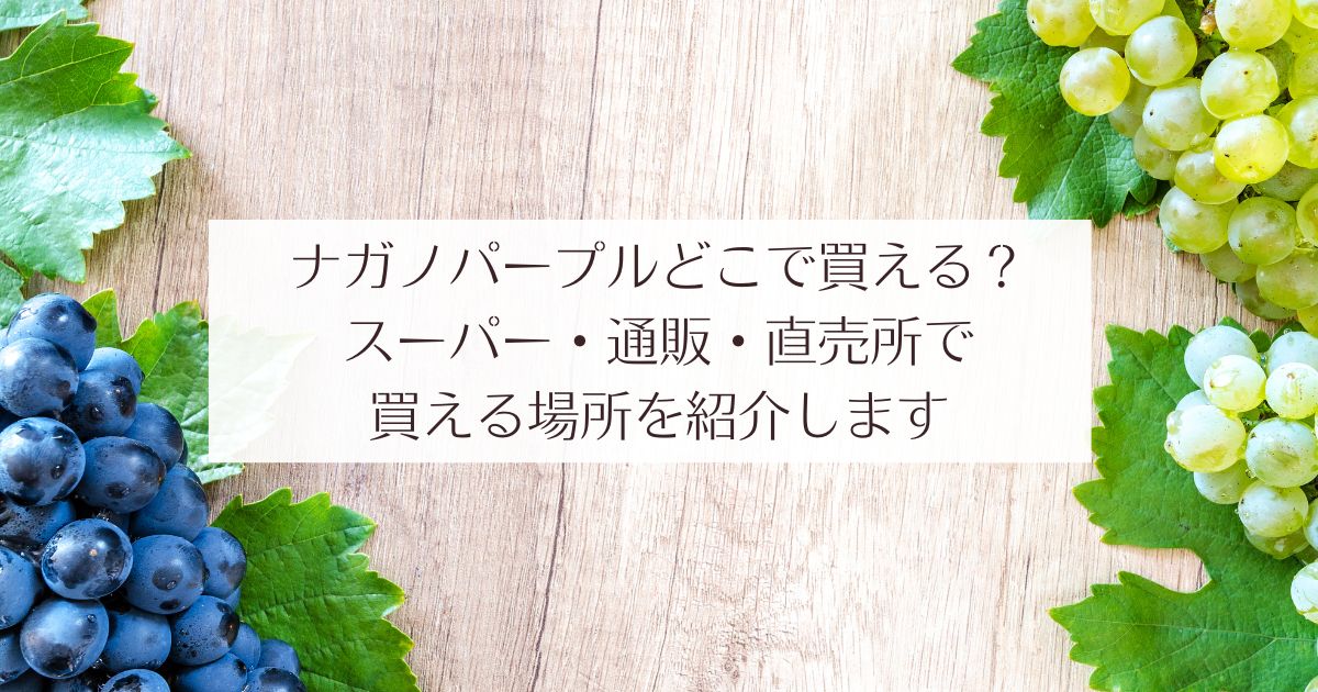 ナガノパープルどこで買える？スーパー・通販・直売所で買える場所を紹介します　ぶどう狩り　ふるさと納税　道の駅