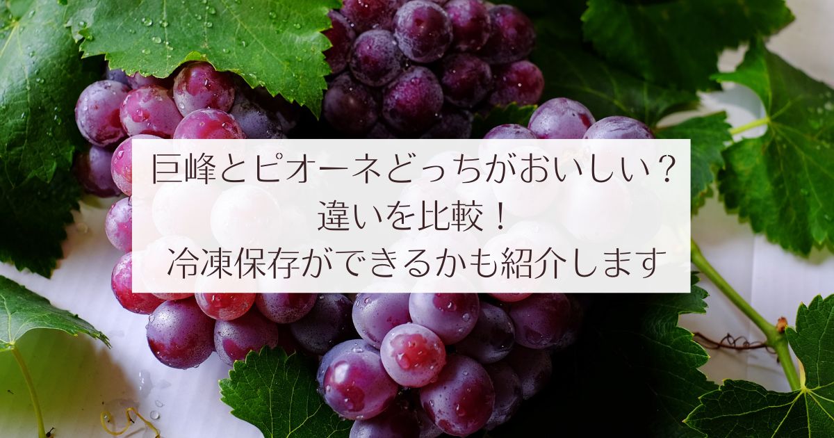 巨峰とピオーネどっちがおいしい？違いを比較！冷凍保存ができるかも紹介します　ぶどう狩り